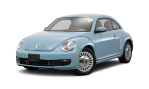 Beetle