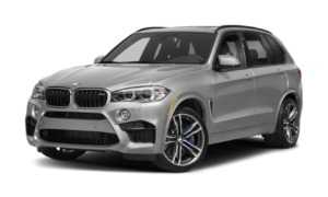 X5 F85