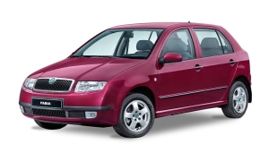 Fabia 6Y